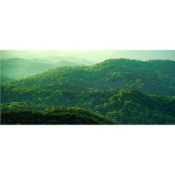 Monitor Desktop - S3225QS Dell 32 Plus 4K