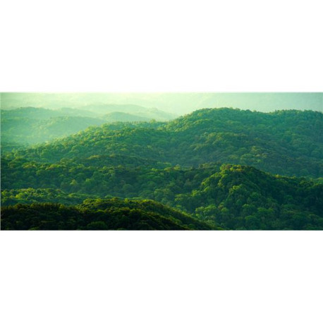 Monitor Desktop - S3225QS Dell 32 Plus 4K