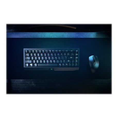 Razer BlackWidow V3 Mini HyperSpeed - Tastiera - retroilluminazione - Bluetooth, 2.4 GHz, USB-C - QW