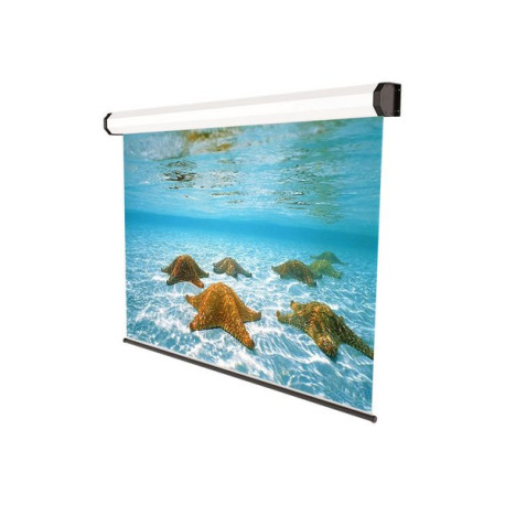 SOPAR Electric Professional - Schermo per proiezione - montaggio a soffitto, montaggio a parete - mo