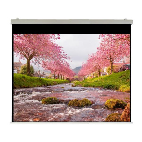 Sopar Elettrico 300x225 HT Professional