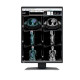 Eizo RadiForce RX370